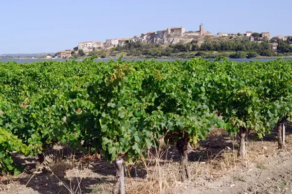 Achat Monte Escalier Monte escalier Bages