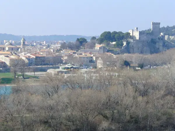 Achat Monte Escalier Monte escalier Beaucaire
