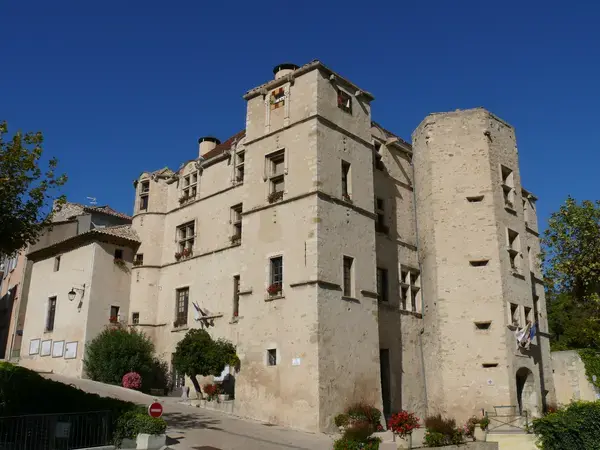 Achat Monte Escalier Monte escalier Château-Arnoux-Saint-Auban