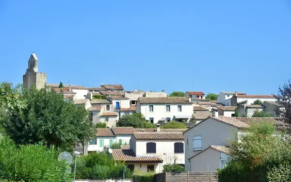 Achat Monte Escalier Monte escalier Clapiers