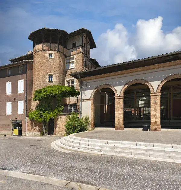 Achat Monte Escalier Monte escalier Gaillac