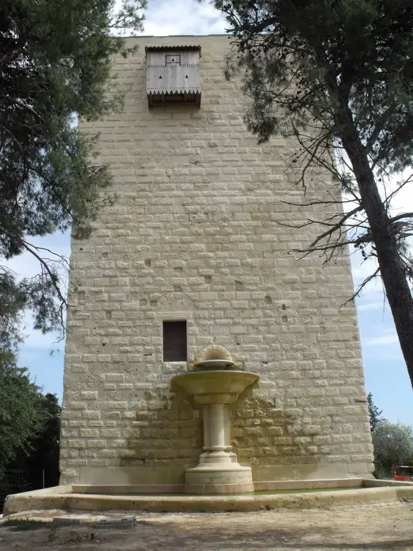 Achat Monte Escalier Monte escalier Gignac
