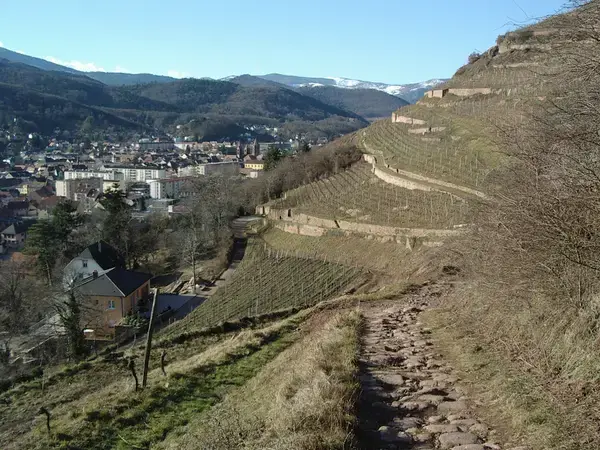 Achat Monte Escalier Monte escalier Guebwiller