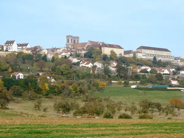 Achat Monte Escalier Monte escalier Langres