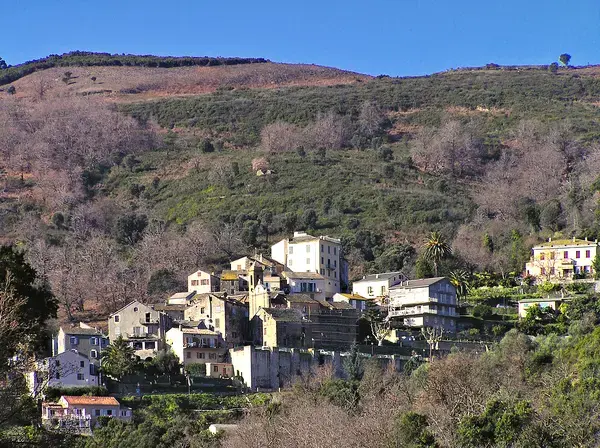Achat Monte Escalier Monte escalier Lucciana