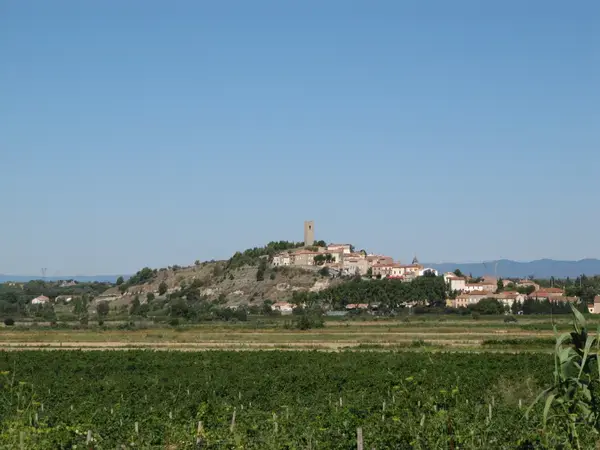 Achat Monte Escalier Monte escalier Montady