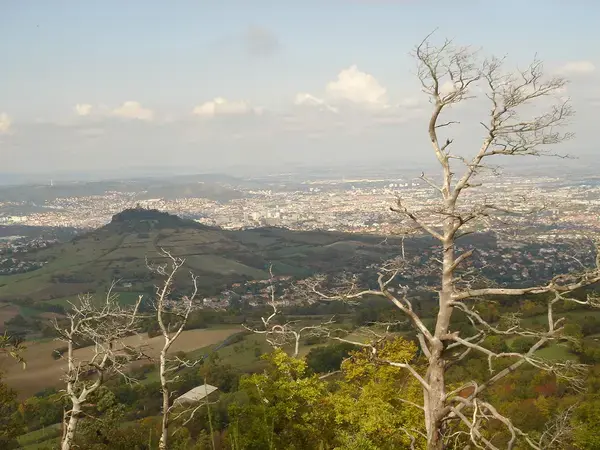 Achat Monte Escalier Monte escalier Romagnat