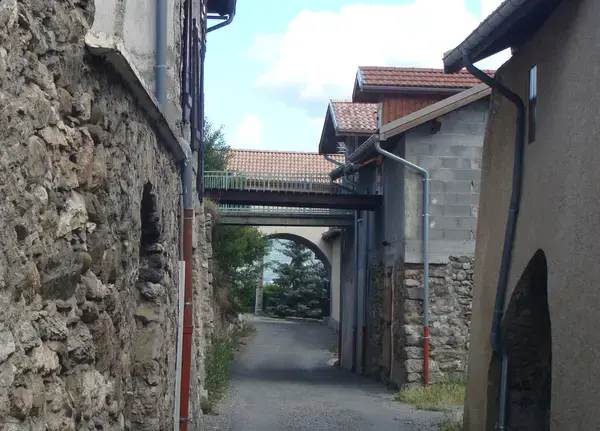 Achat Monte Escalier Monte escalier Rousset