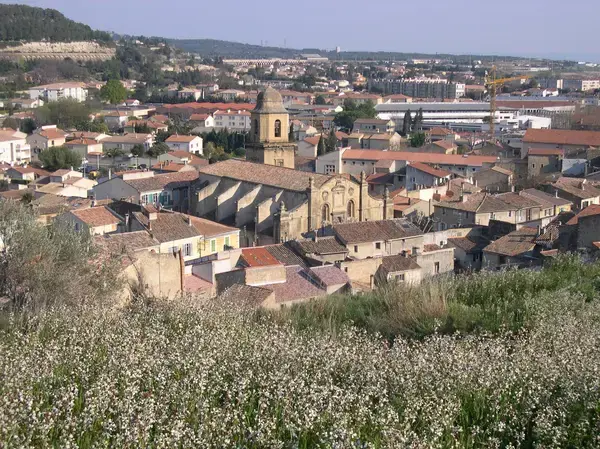 Achat Monte Escalier Monte escalier Saint-Chamas