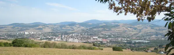Achat Monte Escalier Monte escalier Saint-Chamond