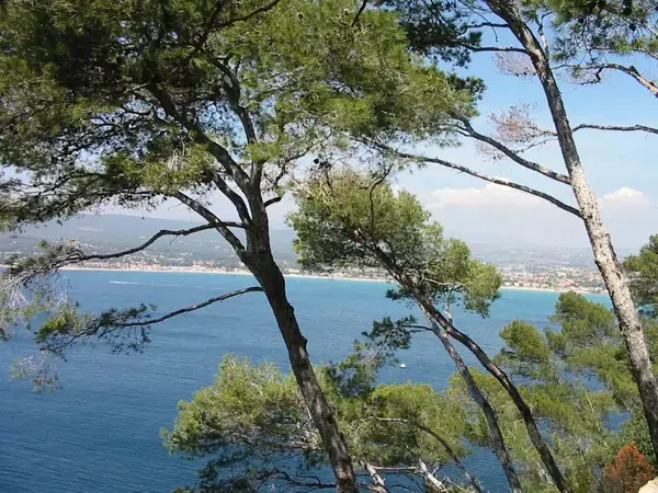 Achat Monte Escalier Monte escalier Saint-Cyr-sur-Mer