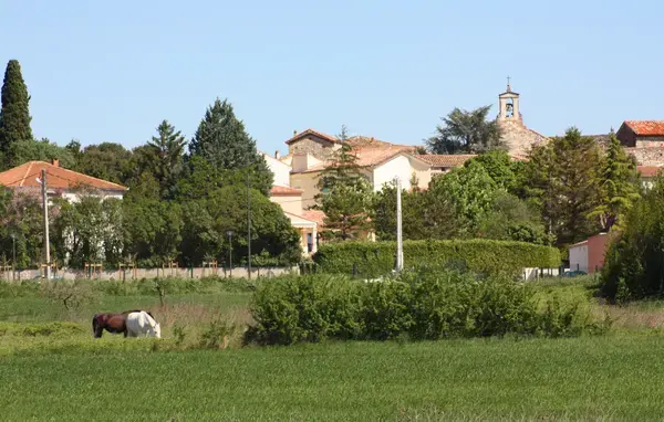 Achat Monte Escalier Monte escalier Saint-Hilaire-de-Brethmas