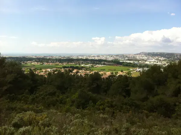 Achat Monte Escalier Monte escalier Saint-Victoret