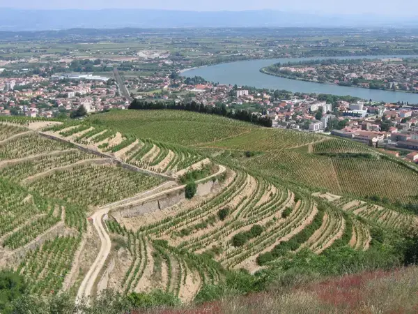 Achat Monte Escalier Monte escalier Tain-l'Hermitage