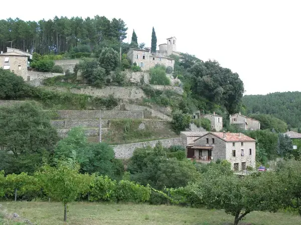 Achat Monte Escalier Monte escalier Vernon